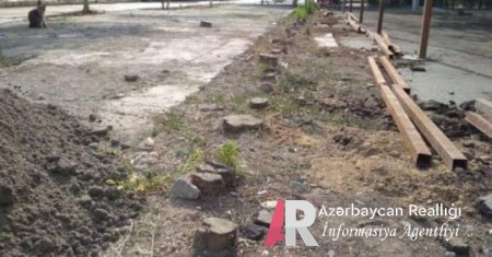 İcra başçısı daha bir yaşıllıq zolağını məhv etdirir – Mehriban Əliyevaya müraciət – Fotolar