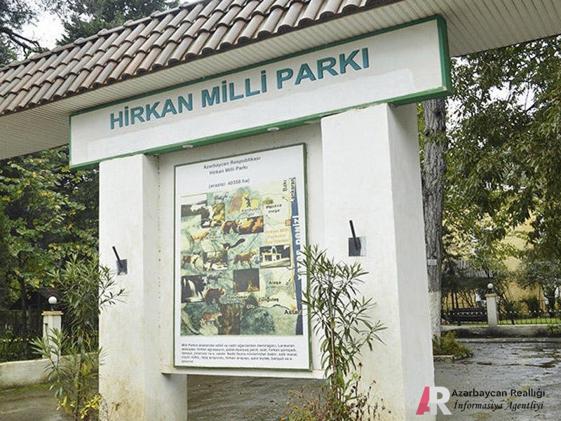 Hirkan Milli Parkında kı, “ekoloji terror” gizlədilir