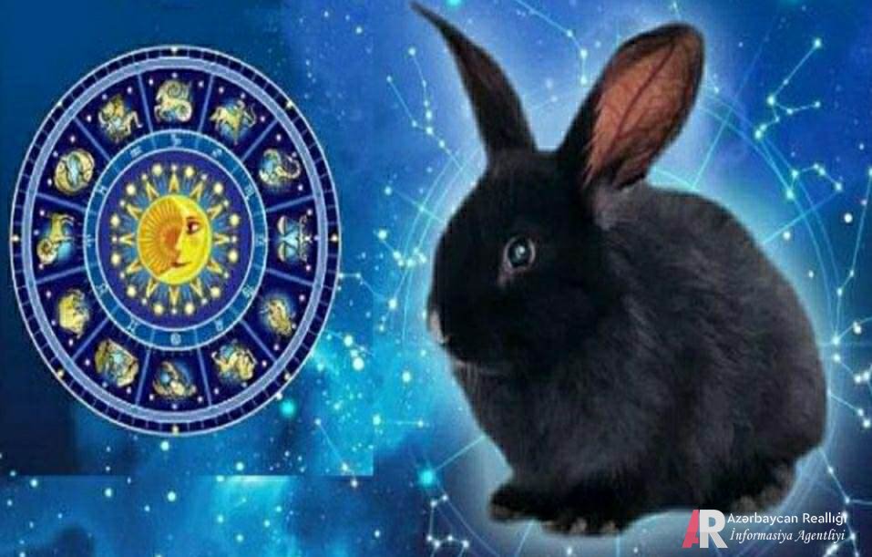 2023-cü il-Qara dovşan ilində bürclər nə vəd edir? - ULDUZ FALI